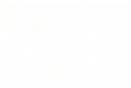 Festival Paco de Lucía Mallorca